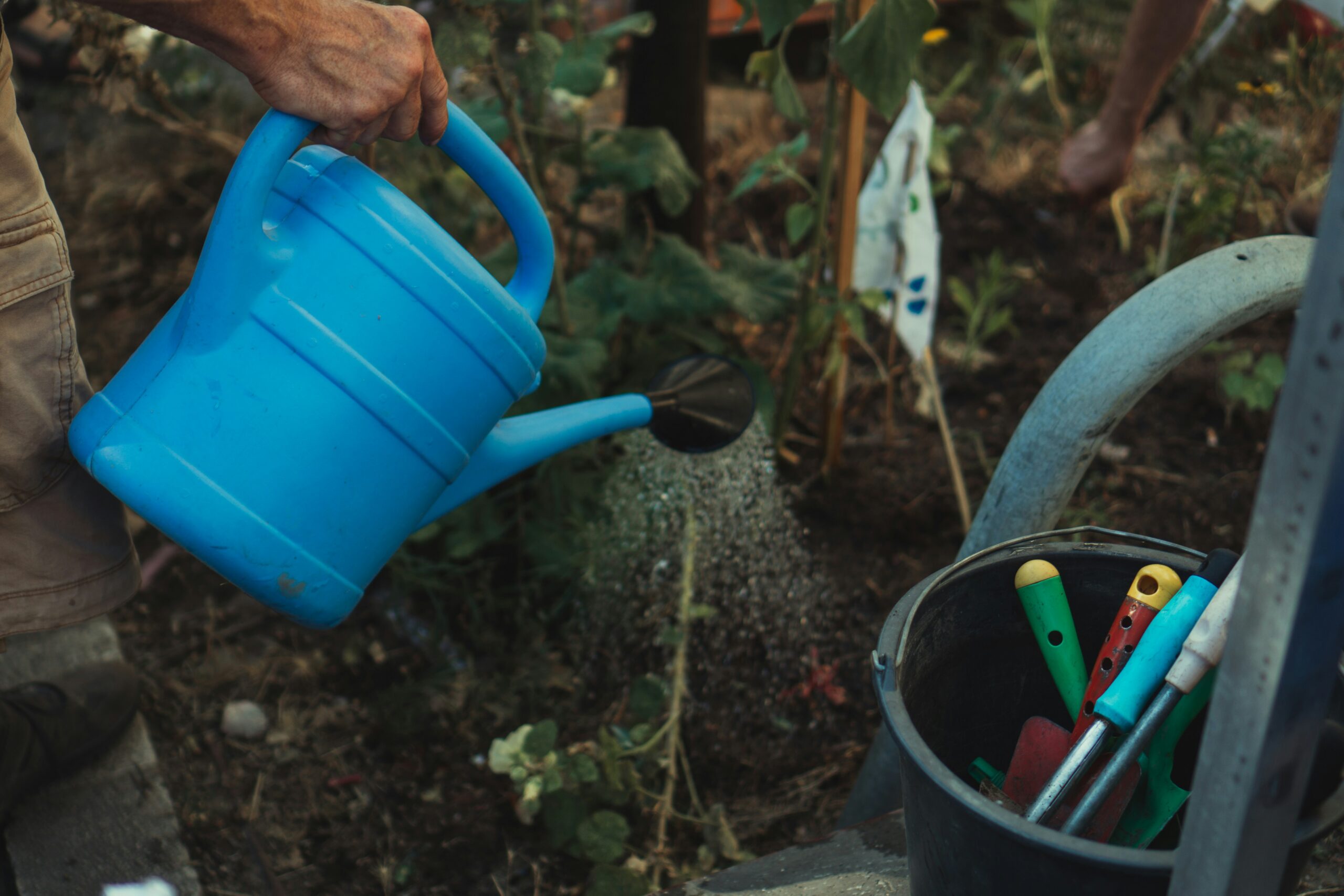 découvrez une large gamme d'outils de jardinage de haute qualité pour entretenir votre jardin avec efficacité et facilité.
